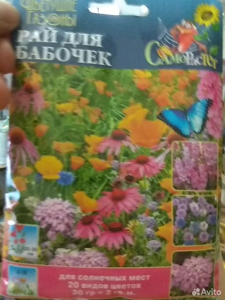 Семена цветущего газона купить на Зозу.ру - фотография № 1