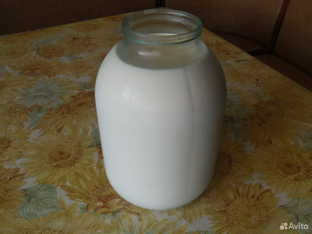 Молоко коровье козье,творог, сметана, масло, cыр купить на Зозу.ру - фотография № 1