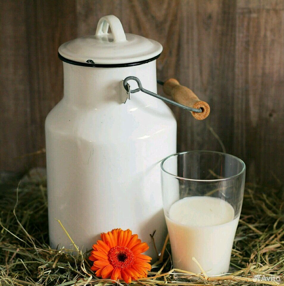 Деревенское Молоко купить на Зозу.ру - фотография № 1