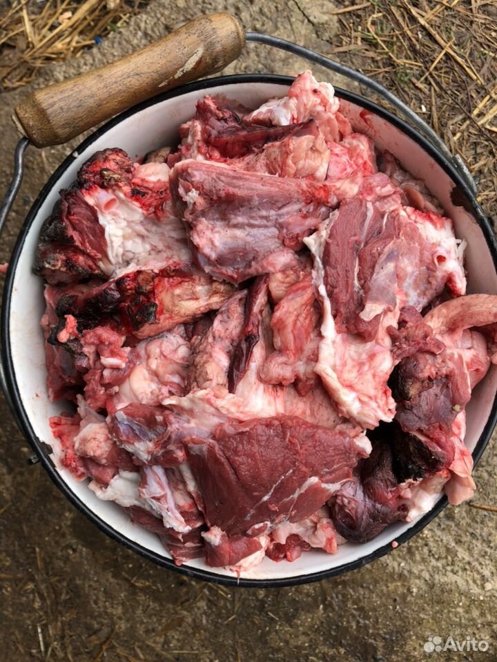 Мясо говяжьих голов / мясо для собак купить на Зозу.ру - фотография № 1