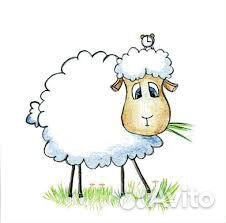Ищу овец купить на Зозу.ру - фотография № 1
