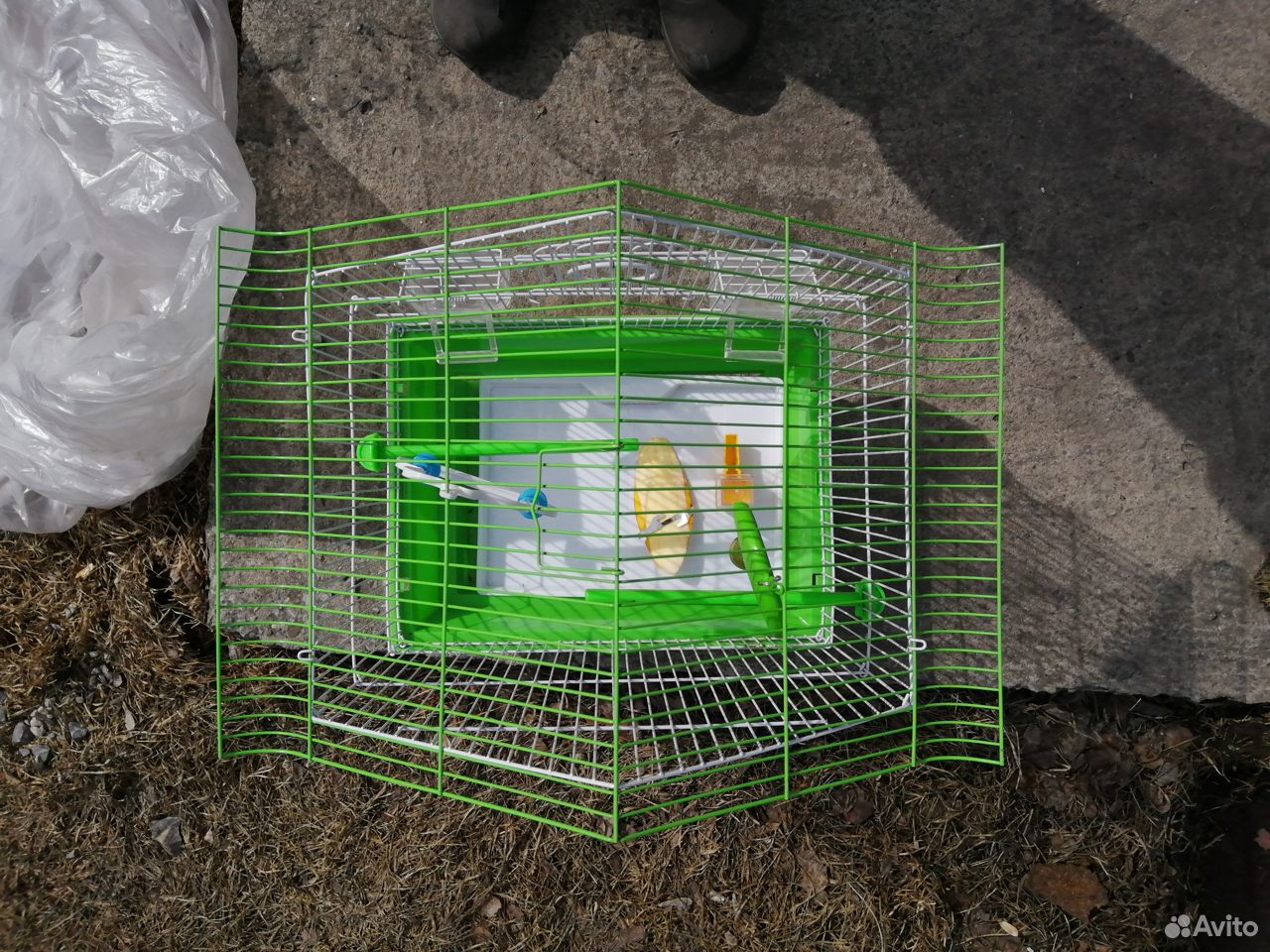 Клетка для попугая купить на Зозу.ру - фотография № 2