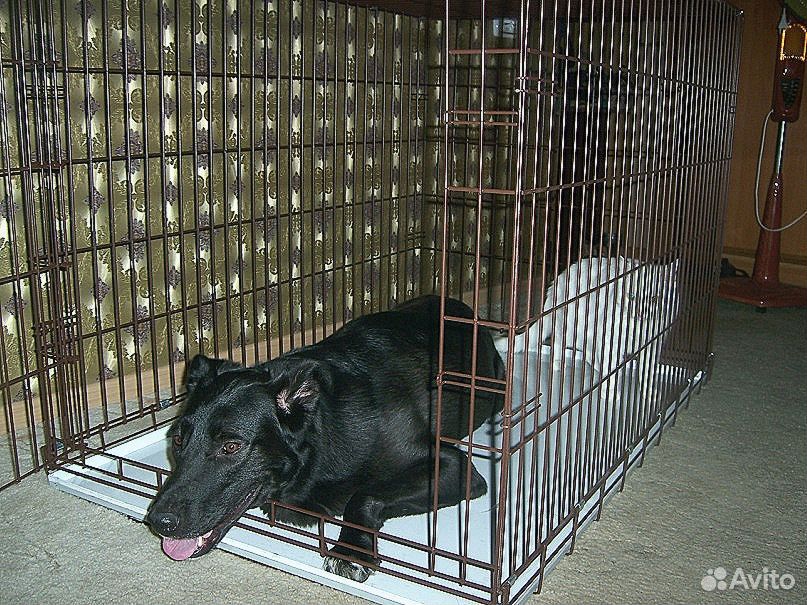 Клетка для перевозки собак купить на Зозу.ру - фотография № 1