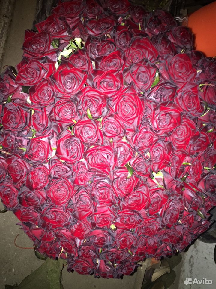 101 роза купить на Зозу.ру - фотография № 3