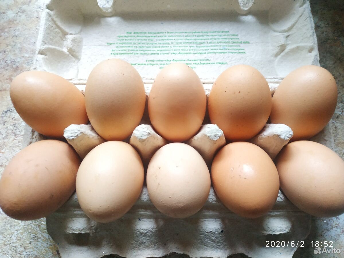 Продаю свежие куриные яйца купить на Зозу.ру - фотография № 6