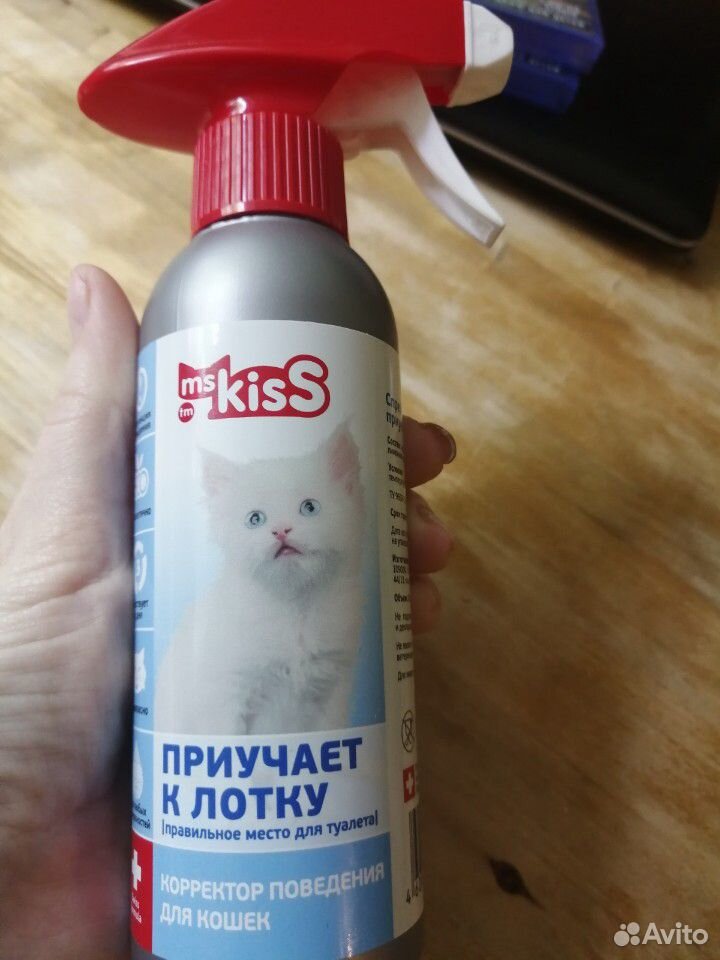 Приучить котёнка к лотку купить на Зозу.ру - фотография № 1