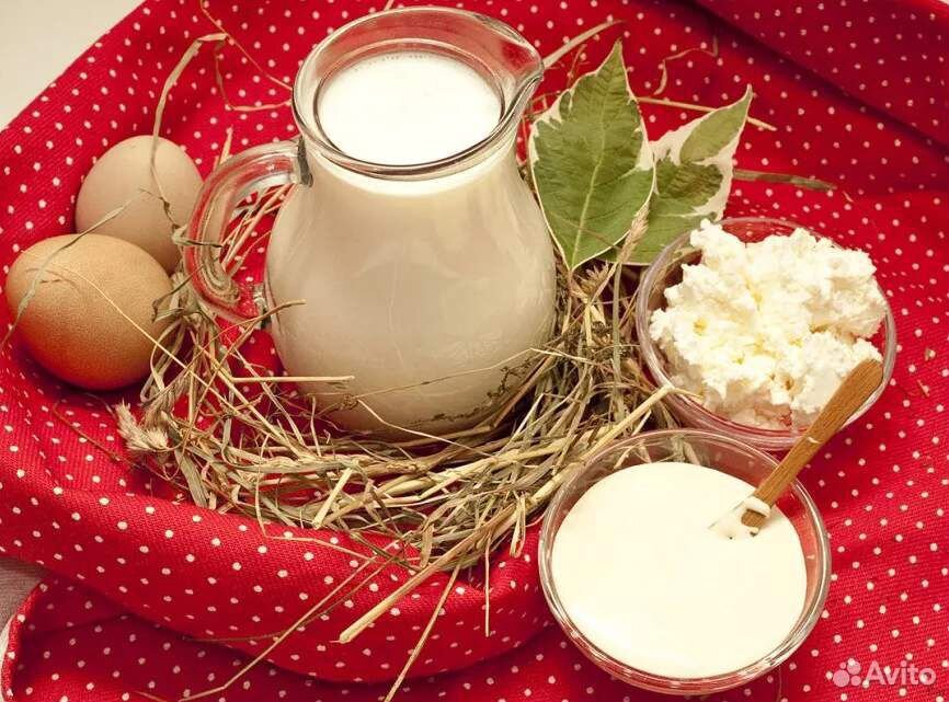Молоко, йогурт, сливки, яйца купить на Зозу.ру - фотография № 2