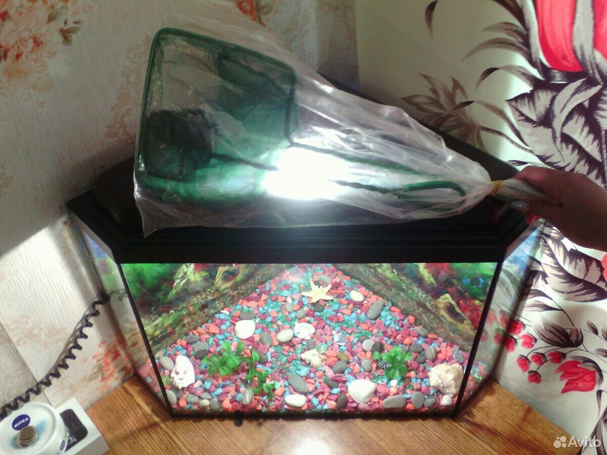 Продам аквариум, можно использовать, как ночник.Со купить на Зозу.ру - фотография № 5