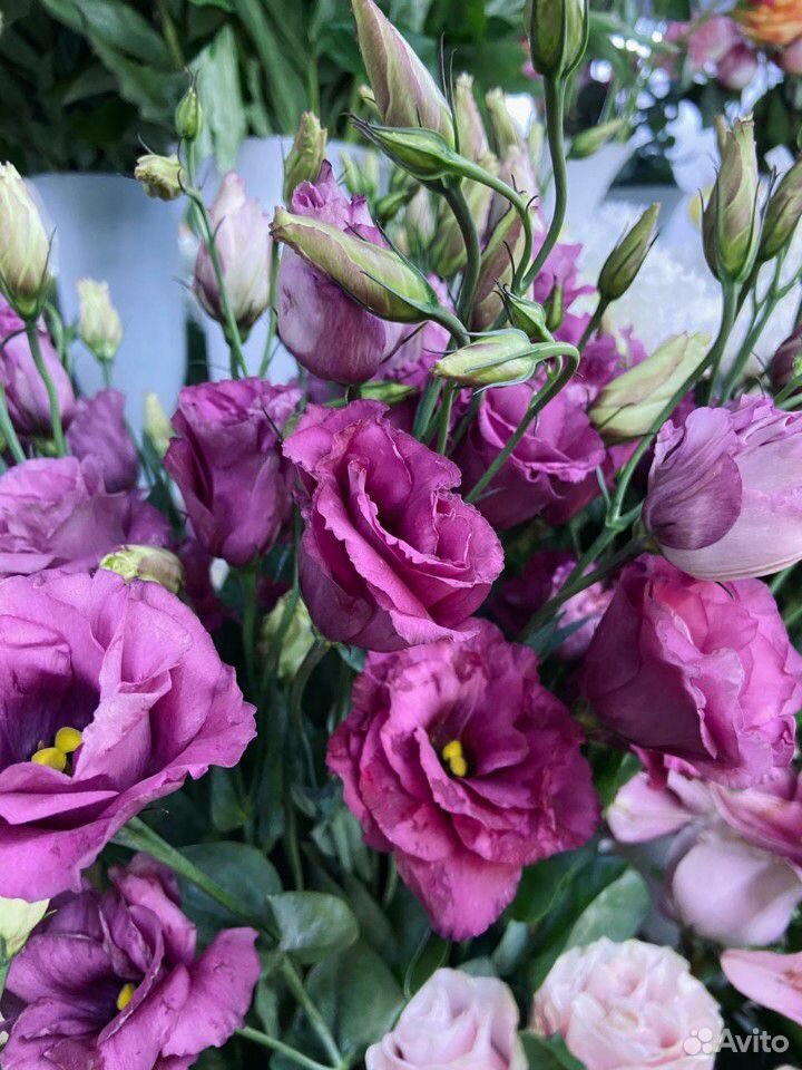 Срезанные цветы купить на Зозу.ру - фотография № 4