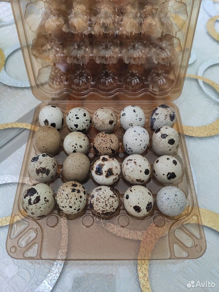 Домашние перепелиные яйца купить на Зозу.ру - фотография № 2