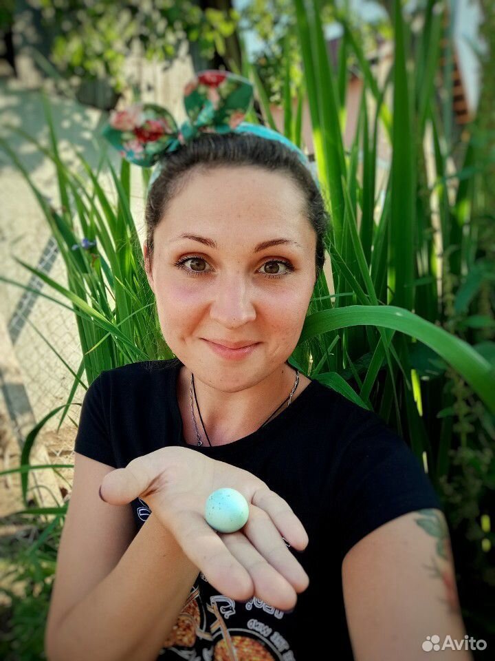 Инкубационное яйцо перепелок Целадон селадон купить на Зозу.ру - фотография № 2