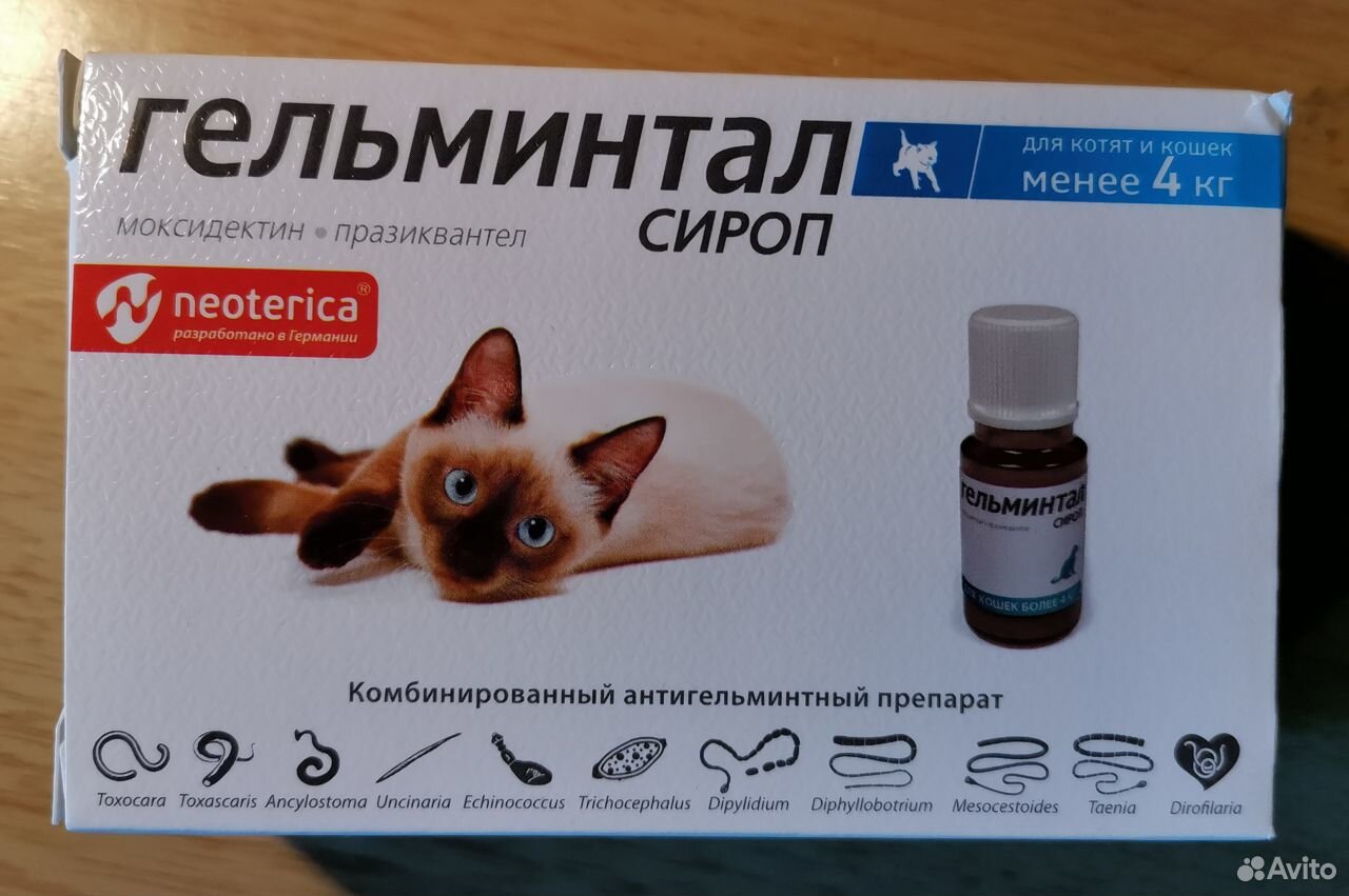 Гельминтал сироп для котят и кошек менее 4 кг купить на Зозу.ру - фотография № 1
