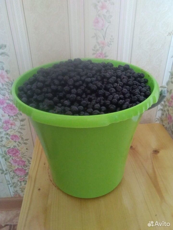 Черника ягоды купить на Зозу.ру - фотография № 3
