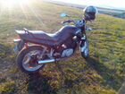 Продам мотоцикл Сузуки VX800 объявление продам