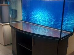 Большой аквариум у вас дома от 200л до 1000л