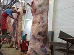 Мясо быков в полутушах