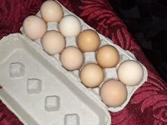 Яйца куриные домашние,доставка