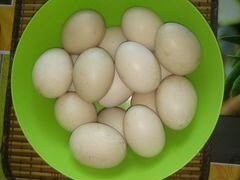 Яйца индоуток для инкубации