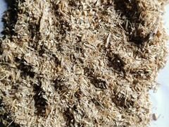 Зерноотходы ячменно-пшеничные