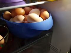 Яйца домашные