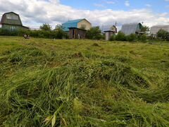 Свежая скошенная трава сено для животных