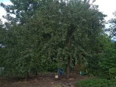 Купить Дачу Жилую В Волжском На Зеленом