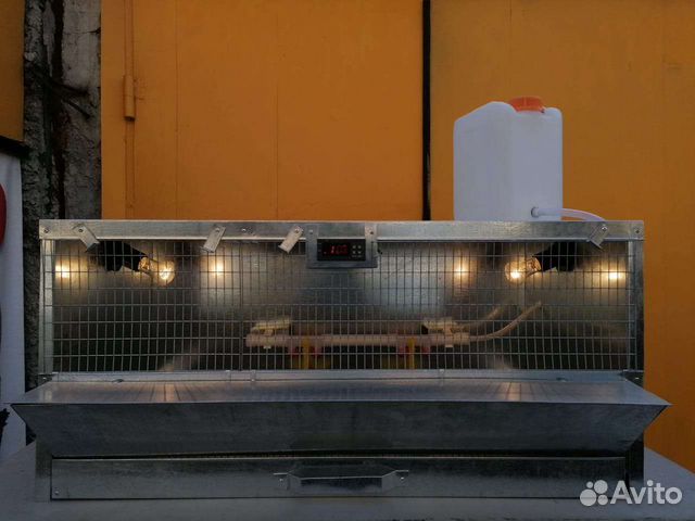 Брудеры для птицы