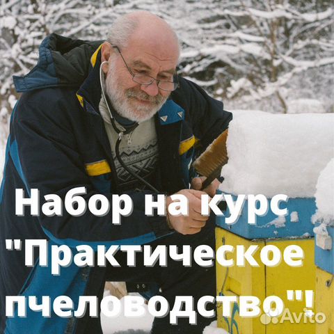 Репетитор по пчеловодству