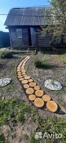 Спилы дуба для дэкора