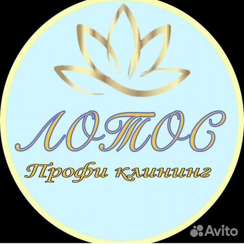 Клининг/уборка профессиональная