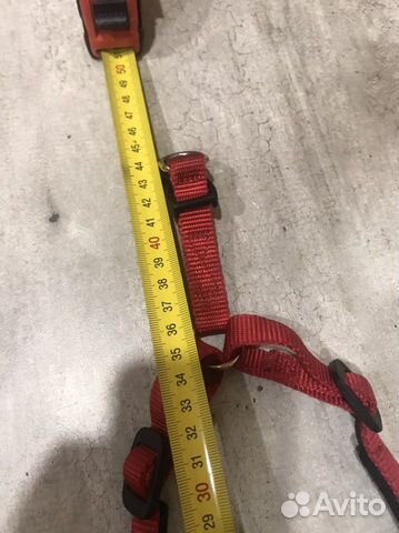 Шлейка для собаки