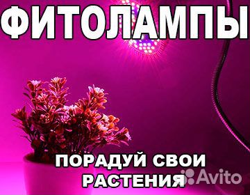 Фитолампа для растений