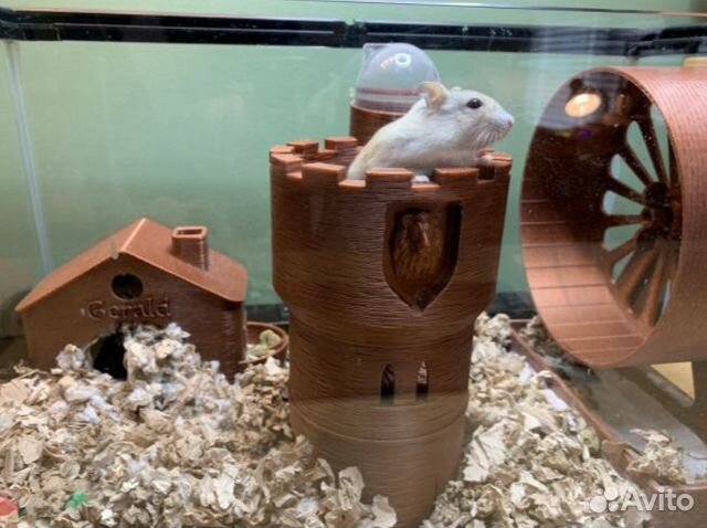 Дом для хомяка