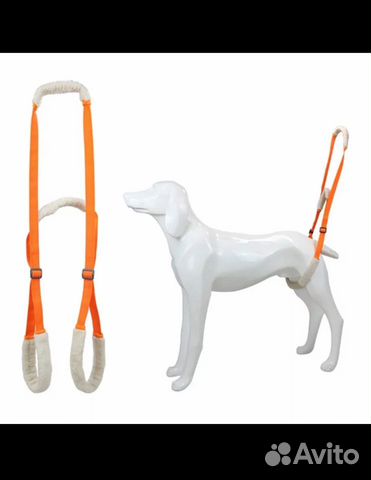 Ходунки - поддержка для собак