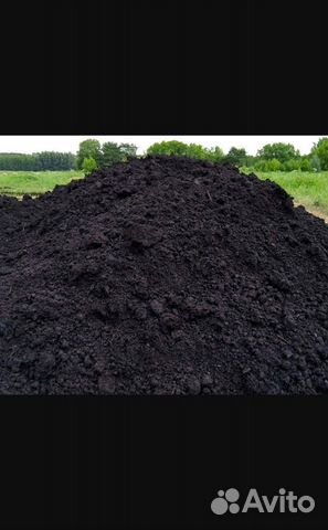 Земля чернозем