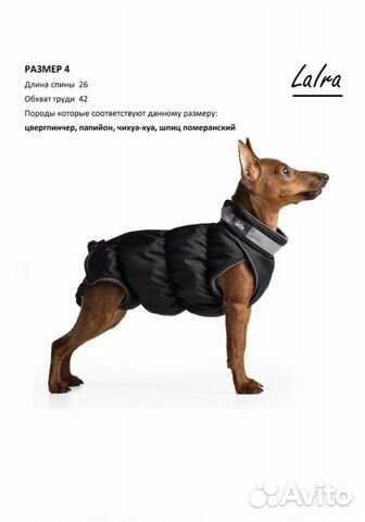 Жилетка для собаки LaIra мальчик