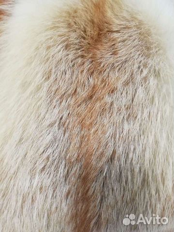 Шкурки лисы