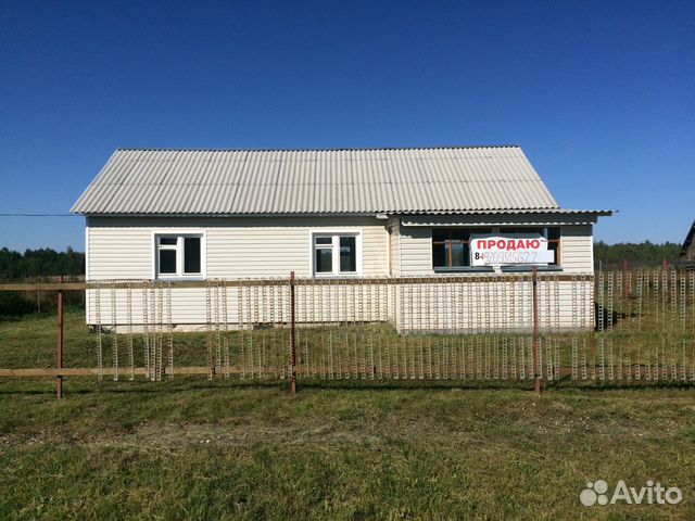 кролики ризен цвет голубой. лесное ялтуново шацкий район. шацк улица первомайская. авито шацк животные. село печины шацкого района рязанской области фото.