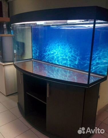 Большой аквариум у вас дома от 200л до 1000л купить на Зозу.ру - фотография № 1