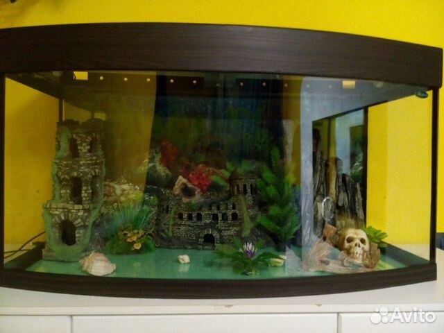 Полностью готовый аквариум купить на Зозу.ру - фотография № 2