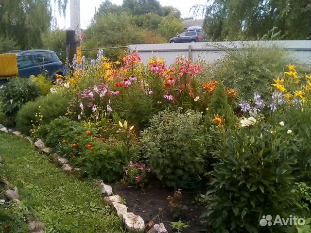 Дом 42 м² на участке 15 сот. Дом 42 м² на участке 15 сот.