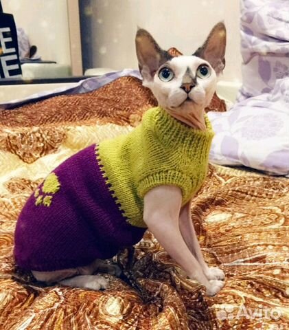 Вязание одежды для кошек