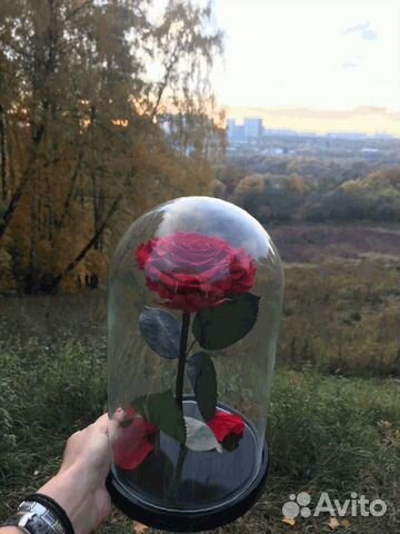 Розы в колбе опт/розница