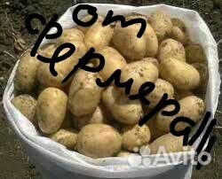 Отборный картофель от фермера доставка бесплатно Отборный картофель от фермера доставка бесплатно