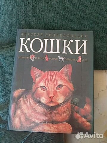 Кошки. Альбом. Детская энциклопедия Кошки. Альбом. Детская энциклопедия