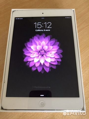 iPad mini