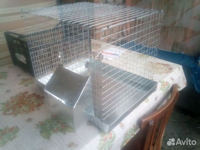 Клетки