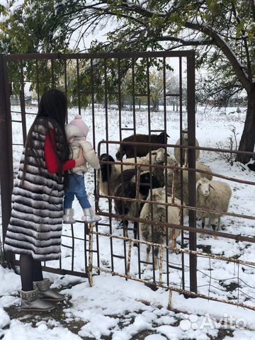 Безрукавка, носила в один сезон в отличном состоян