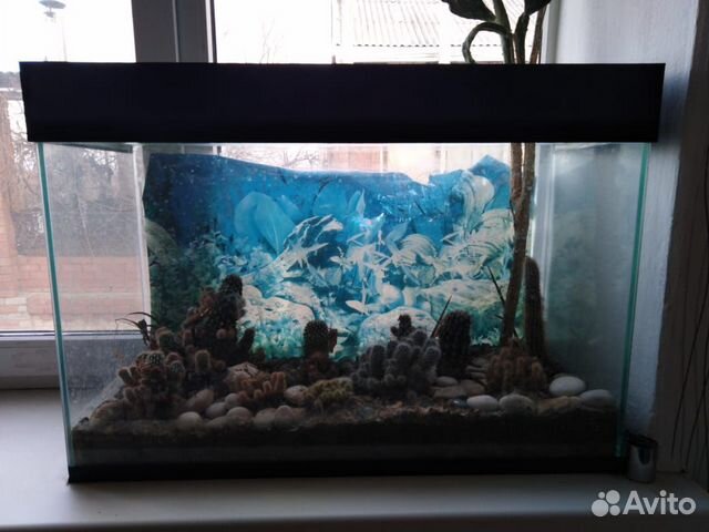 Продам аквариум объём 100л. стекло 3мм, с усиление купить на Зозу.ру - фотография № 1