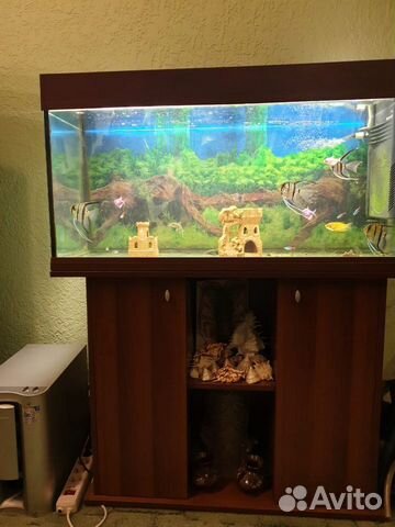 Продам аквариум Ferplast Дубай купить на Зозу.ру - фотография № 1